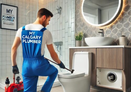 How to Handle a Clogged Toilet: Tips for Calgary Homeowners