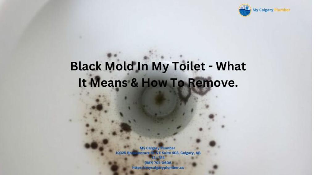 A toilet bowl with black mold spots and an overlaid text explaining what it means and how to remove it, featuring My Calgary Plumber’s contact details.